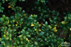 網(wǎng)站建設(shè)株洲流程